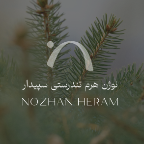 Nozhan Heram Brand Identity Design