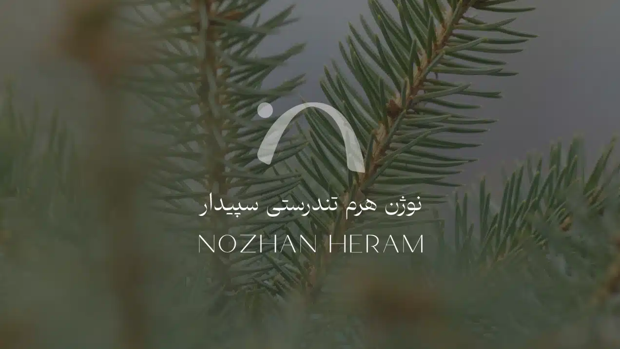 Nozhan Heram Brand Identity Design