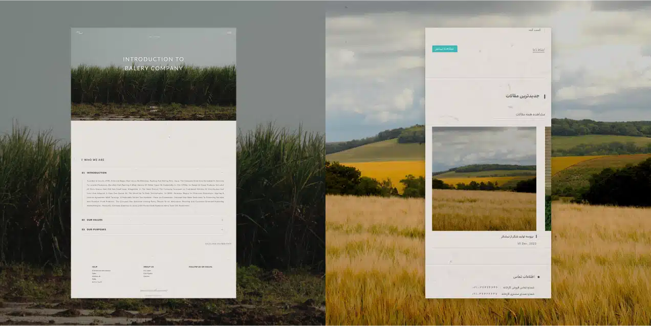 Balery Food Company Brand Identity Design