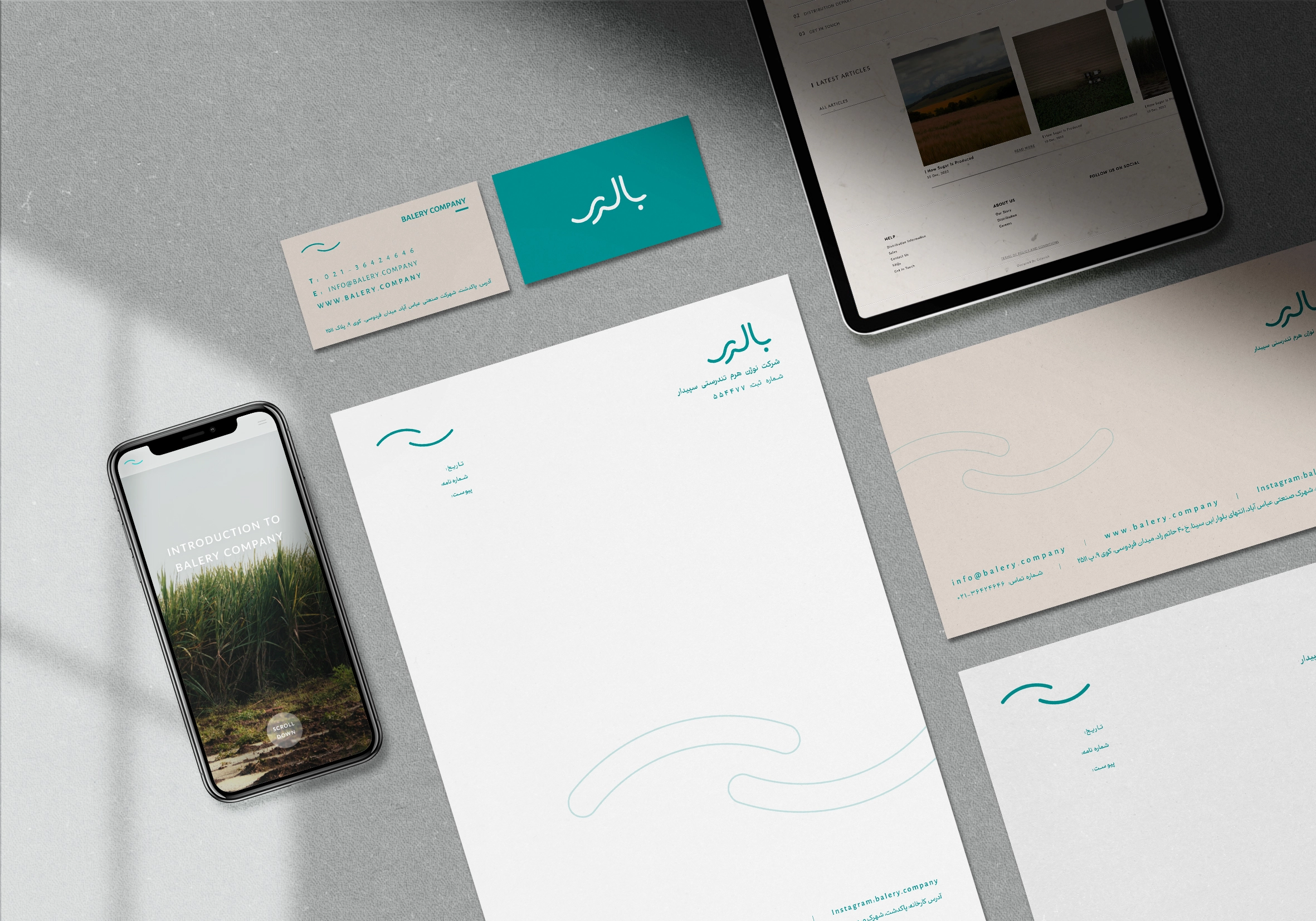 Balery Food Company Brand Identity Design
